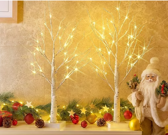 PEIDUO Christmas Decorations Indoor, 2 FT Birch Tree with LED Lights, Fairy Light Spirit Tree for Christmas Decor